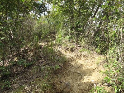 20151006hike (132)